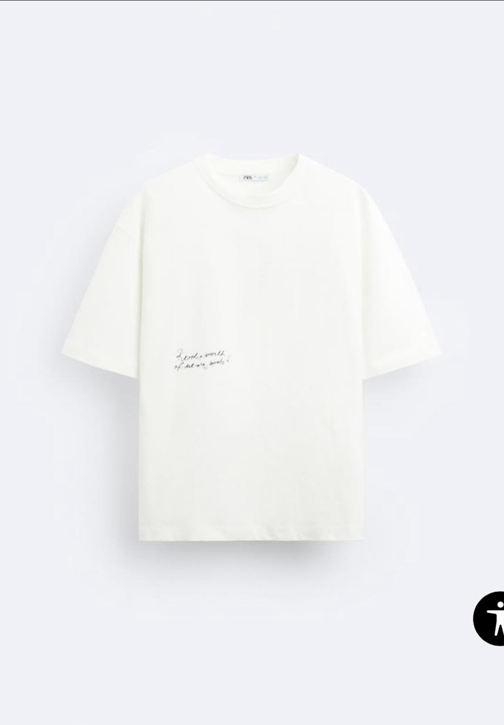 ZARA _ T-SHIRT