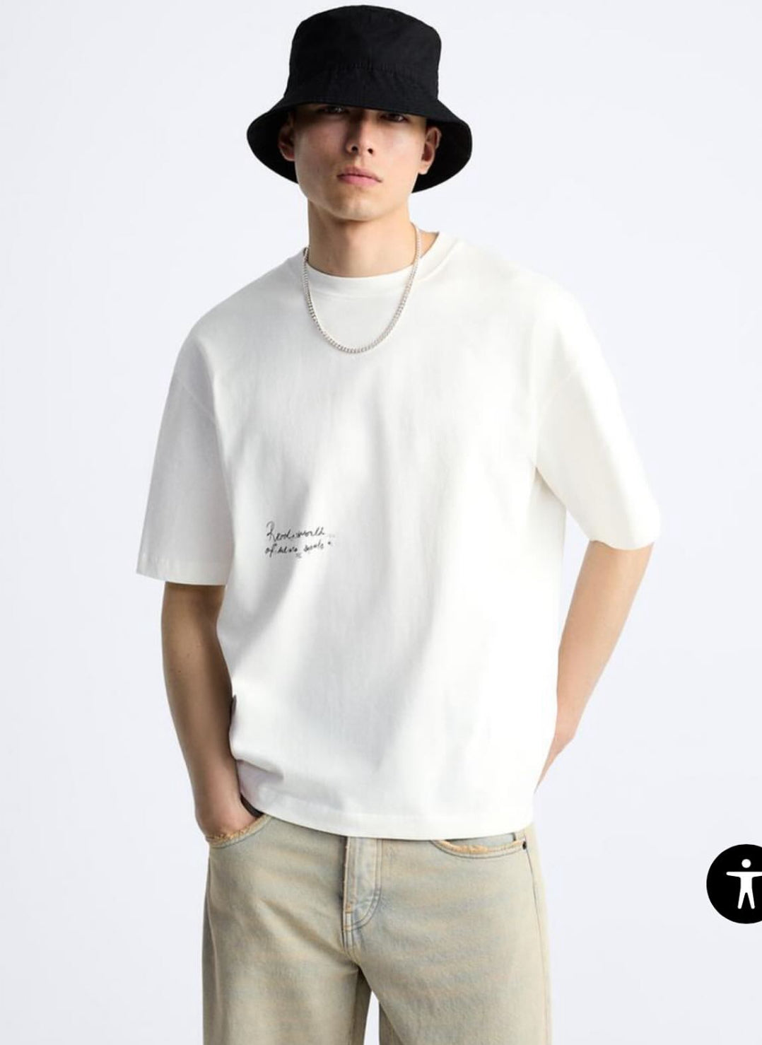 ZARA _ T-SHIRT