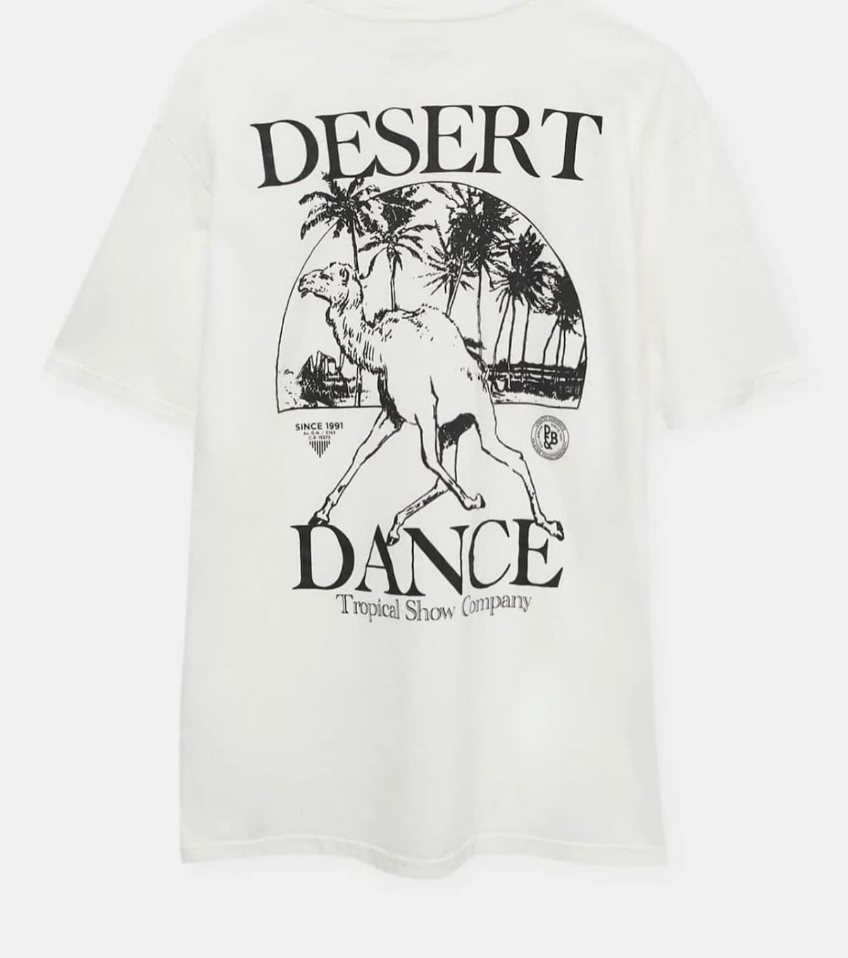PULL&BEAR _ T-SHIRT