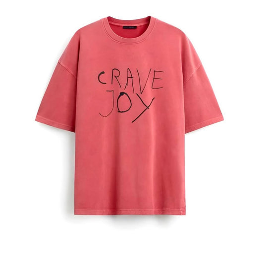 ZARA _ T-SHIRT